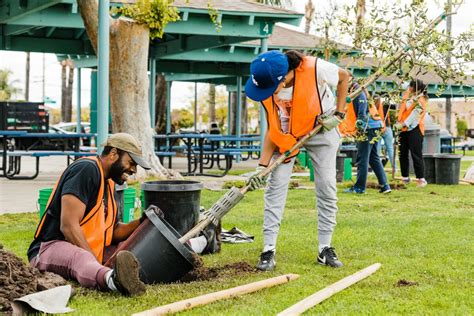 Urban Forestry Treepeople