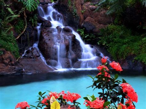 Imágenes De Paisajes Hermosos Con Cascadas Y Flores Naturales