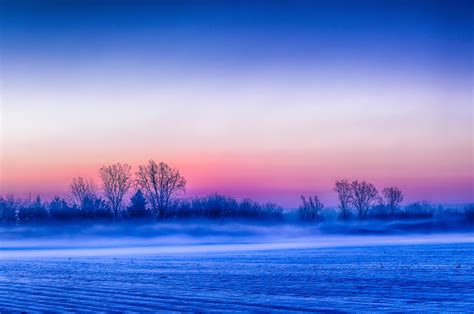 Free Stock Photo Of Field Fog Sunrise