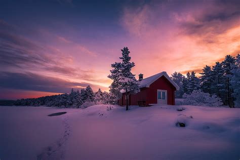 Cabin Forest House Snow Sunset Tree Winter Hd Wallpaper