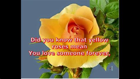 A Single Yellow Rose By Isla Grant Karaoke Acordes Chordify