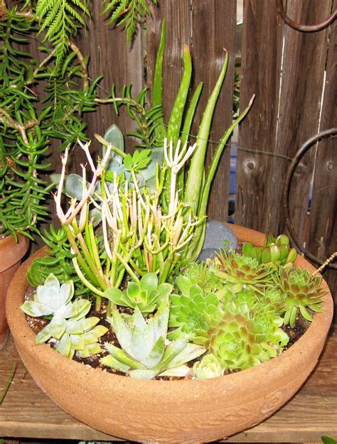 These planters are perfect for balconies since they provide a lot of surface area for planting while taking up a small amount of space. Fringe Art: Unique Pots and Plants