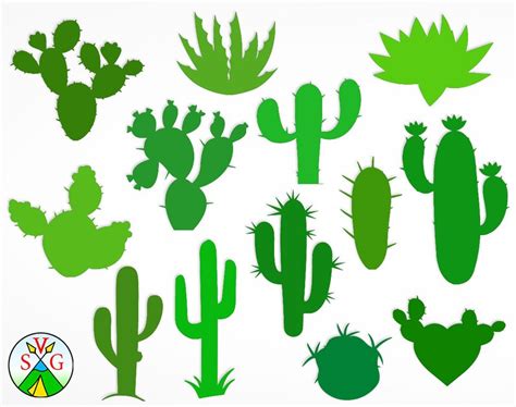 Sale Cactus Svg Cut Files Flower Cricut Files Cactus Etsy