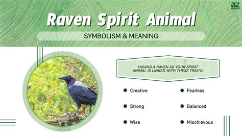Raven Spirit Animal Symbolism And Meaning A Z Animals