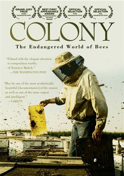 Colony Dvd 2009 Dvd Empire