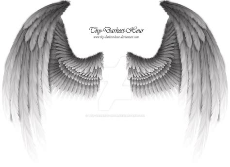 Winged Fantasy Silver Premium Psd Download By Thy Darkest Hour On