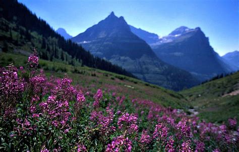 Glacier National Park Wallpapers Wallpaper Cave