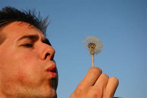 Man Blowing Dandelion Stock Photos Pictures And Royalty Free Images Istock
