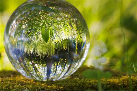 Hd Wallpaper Round Water Globe Ball Environment Grass Nature