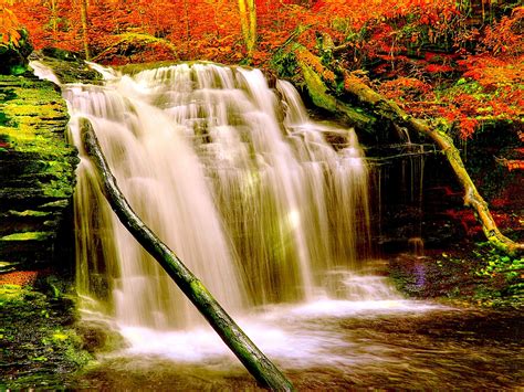 Autumn Forest Waterfall Nature Aiyumn Hd Background 2560x1600 ...