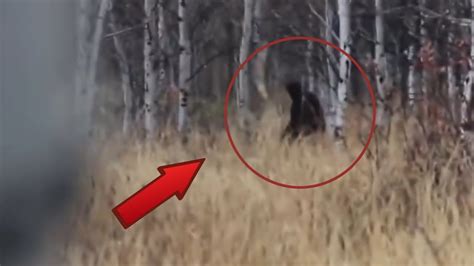 7 Best Bigfoot Sightings Caught On Camera Youtube