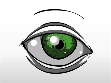 Green Eye Vector Art And Graphics
