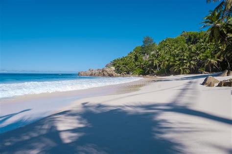 Anse Intendance Beach Mahe Seychelles Tropical Beach With Palm Trees
