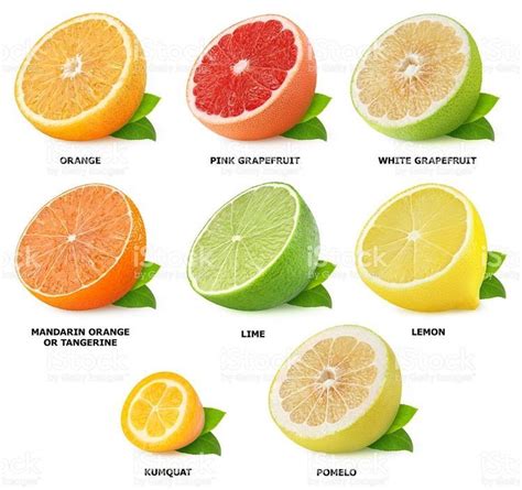 Frutas Fruits Fruit Citrus Fruit List Fruit List