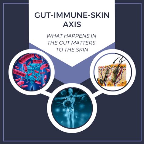Gut Immune Skin Axis What Happens In The Gut Matters To The Skin