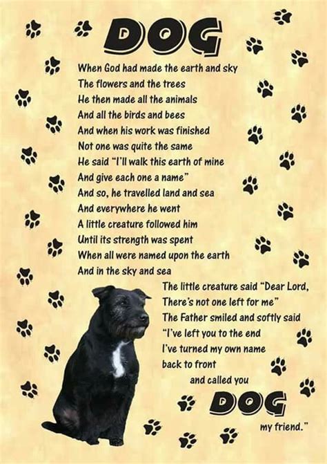 Pin By Wickern Wood On Great And Small Dog Poems Dog Quotes Pet Poems