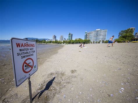 English Bay Beach Closed For Swimming Due To High Li Levels