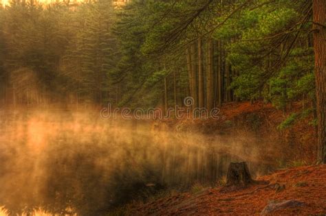 Misty Morning Forest Lake Stock Image Image Of Leaves 14375487