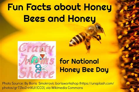 Facts About Honey Bees