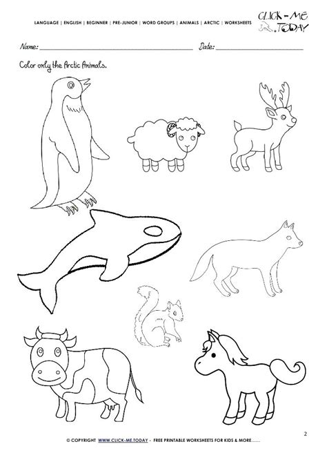 Tundra Animals Coloring Pages At Free