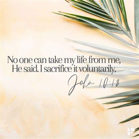 Palm Sunday The Loving Act Faithgateway In 2020 Bible Verse
