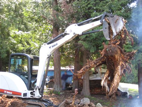 Browse ratings, recommendations and verified customer reviews to discover the best local stump removal companies in chapel hill, tn. Pin on Stump Removal Castle Hill