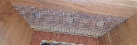 Top bar hives (or versions of them) are commonly used in africa, but also have a fair number of users in the usa and europe too. What Do Bees Do In the Winter? And, How to Winterize a Top ...