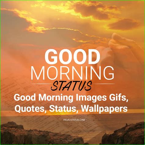Ultimate Compilation Of Top 999 Good Morning Images With Quotes For Whatsapp Spectacular