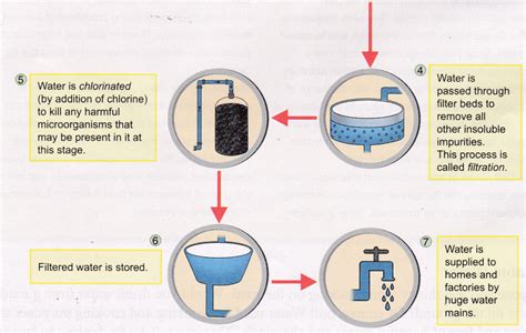 How To Purify Water Water Purification Process Padheye