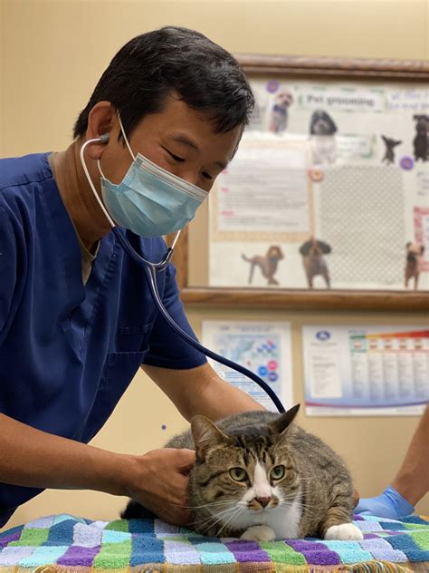 Our Veterinary Health Care Team