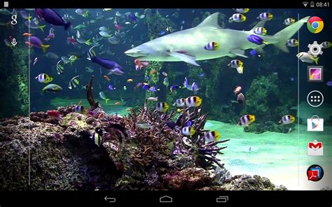 Aquarium Live Wallpaper Free Android Live Wallpaper Download Appraw