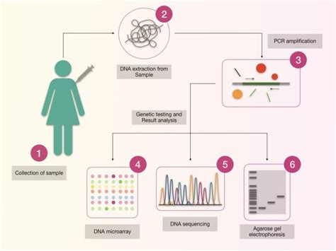Cancer Genetic Testing What Is It And How Its Done Genetic Education