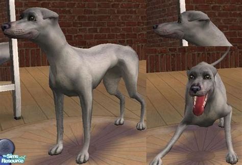 The Sims Resource Greyhound