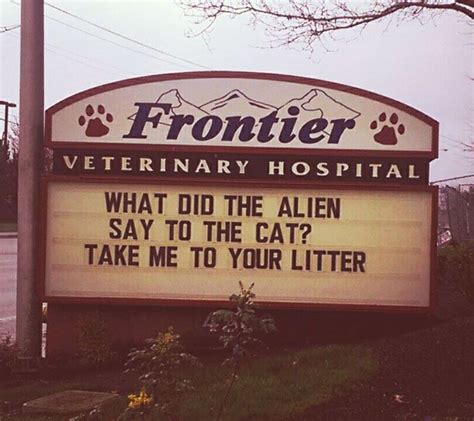 Funny Vet Clinics Signs About Cats Funny Cat Veterinary Clinic Signs In