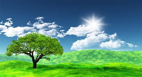 © claudio mortini™◊palinuro, dove il mito incontra la realtà, la storia incontra la natura. 3D del paesaggio con un albero contro un cielo pieno di ...