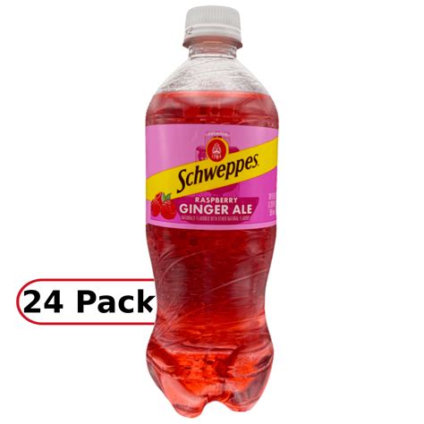 Schweppes Raspberry Ginger Ale 20 Fl Oz Bottles 24 Pack