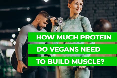 How Much Protein Do Vegans Need To Build Muscle A Complete Guide
