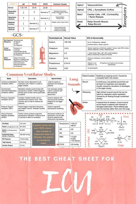 Icu Cheat Sheet Printed Laminated Icu Nursing Nursing Cheat