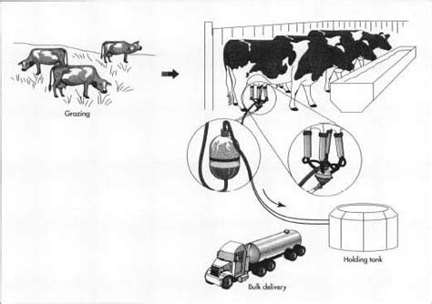 How Milk Is Made Making History Used Processing Parts