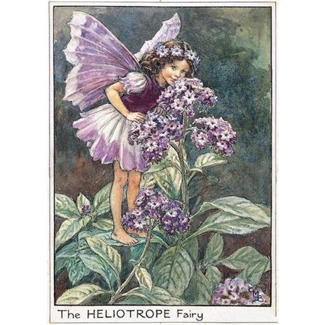 Cicely Mary Barker Heliotrope Flower Fairy Ceramic Tile
