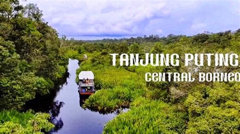 Taman Nasional Tanjung Puting Diusulkan Jadi New Bali Ke 11 Trenz
