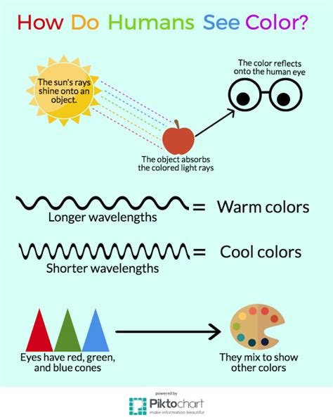 Infographics - KARIN KNAPIK-CLOUTIER