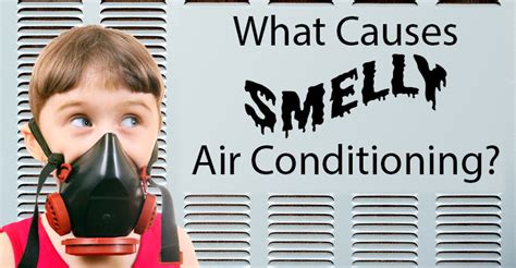 Brand name air conditioner appliances. Does Your Home Have a Musty Odor? Time to Check The HVAC ...