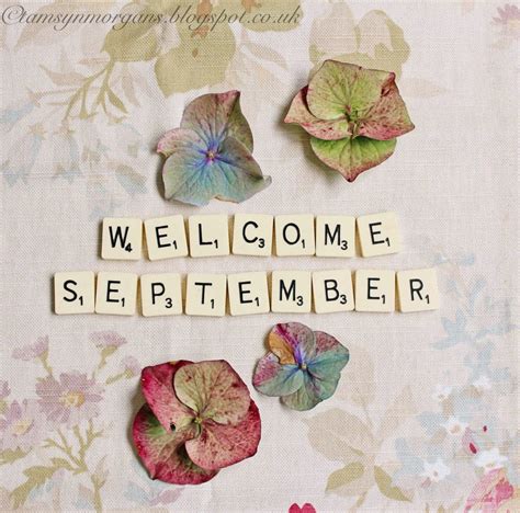 Tamsyn Morgans Hello New Month Category Happy New Month Quotes Happy