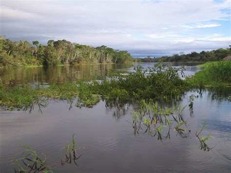 Floodplain Channel In The Amazon Nasa Swot