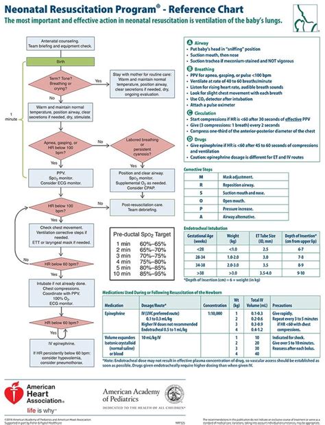 Aap Nrp® Code Cart Card 8th Edition Neonatal Reference Chart