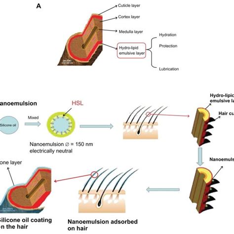 You'll also find that there's no silicone in this formula, so. (PDF) A novel preparation method for silicone oil ...