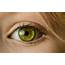 4 Common Traits Of People With Green Eyes  Gould Vision Miami Beach