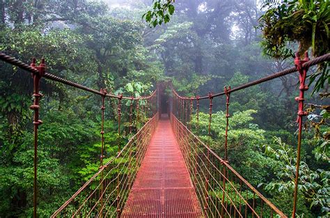 The Top 10 Things To Do In Monteverde Costa Rica