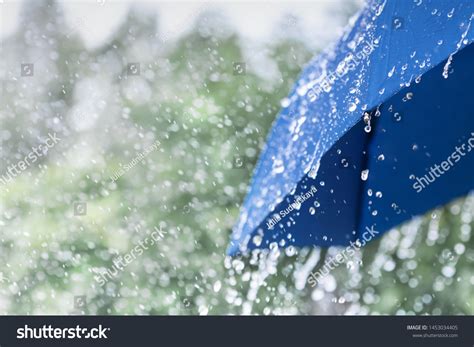 Rain Images Browse 3819460 Stock Photos And Vectors Free Download With